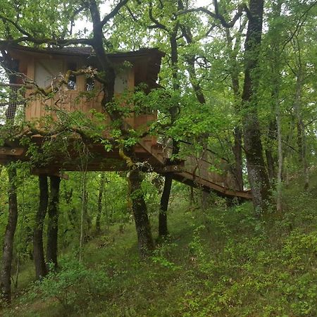 Cabane Dans Les Arbres - La Pagode Mechmont Exterior foto